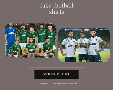 fake Palmeiras football shirts 23-24
